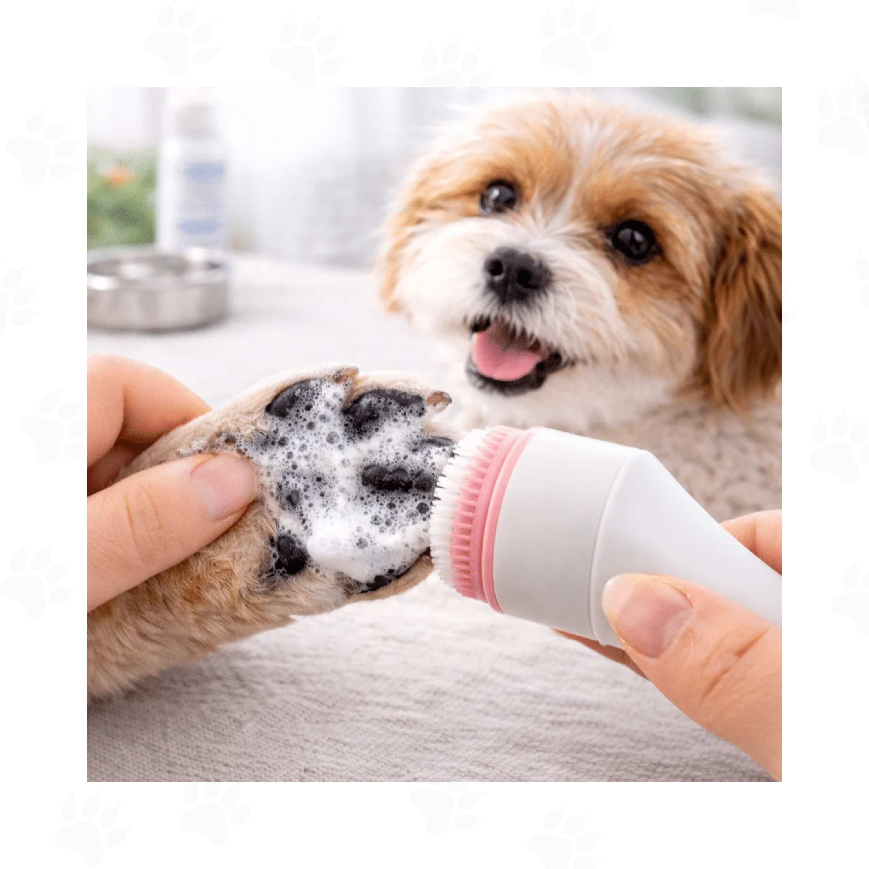 Lave-Pattes™ — Nettoyage rapide des pattes de votre chien