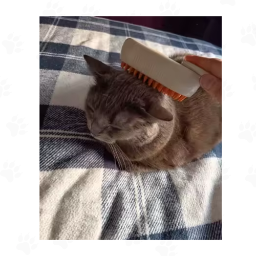 Brosse Vapeur™ — Toilettage sans bain pour chats et chiens