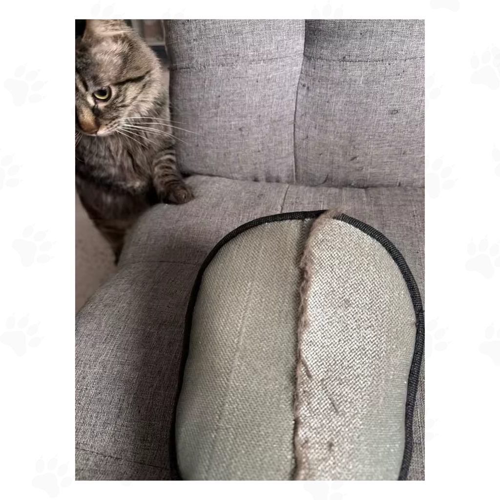 Gant Anti-Poils™ — Retire les poils en un seul geste