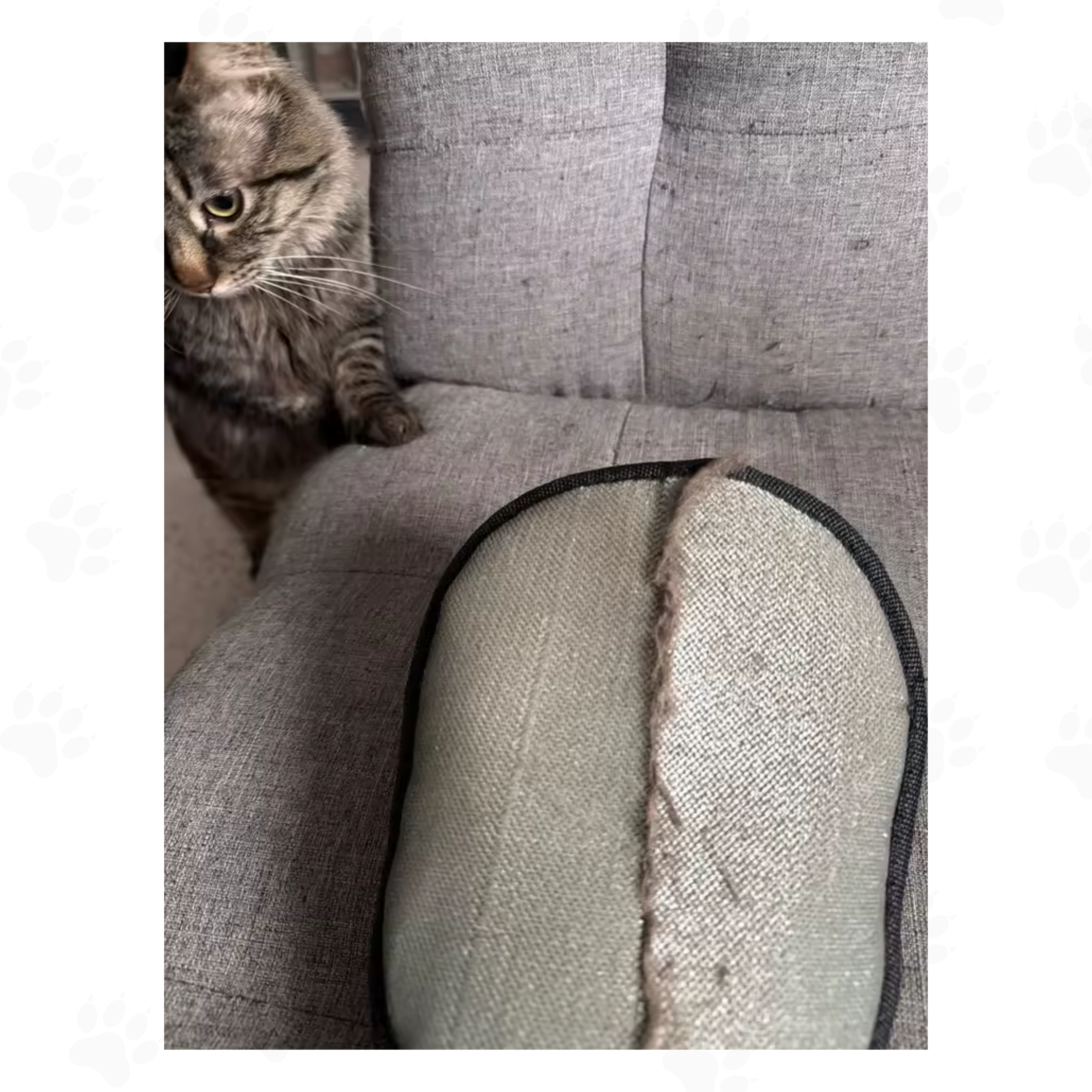 Gant Anti-Poils™ — Retire les poils en un seul geste