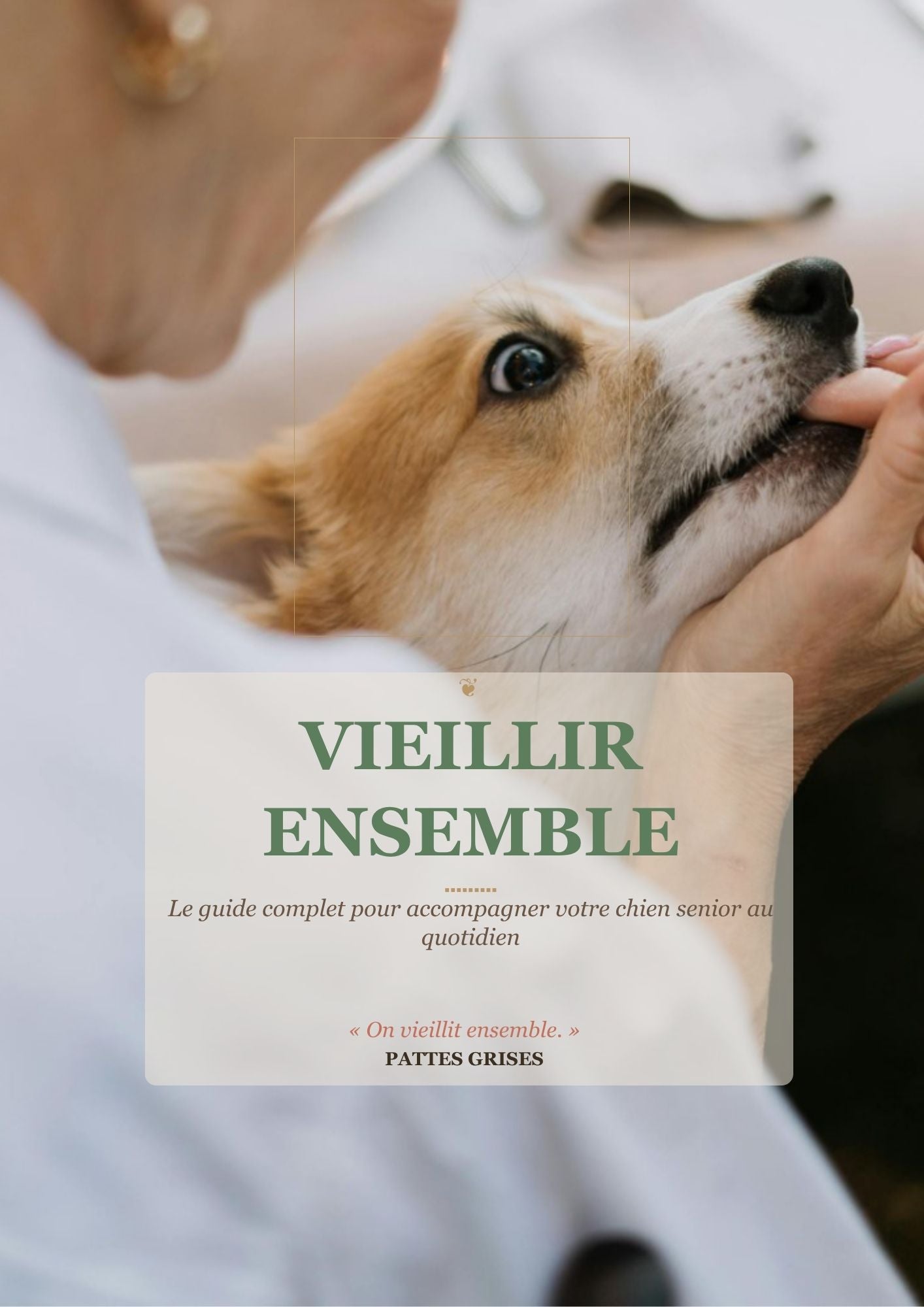 e-book vieillir ensemble